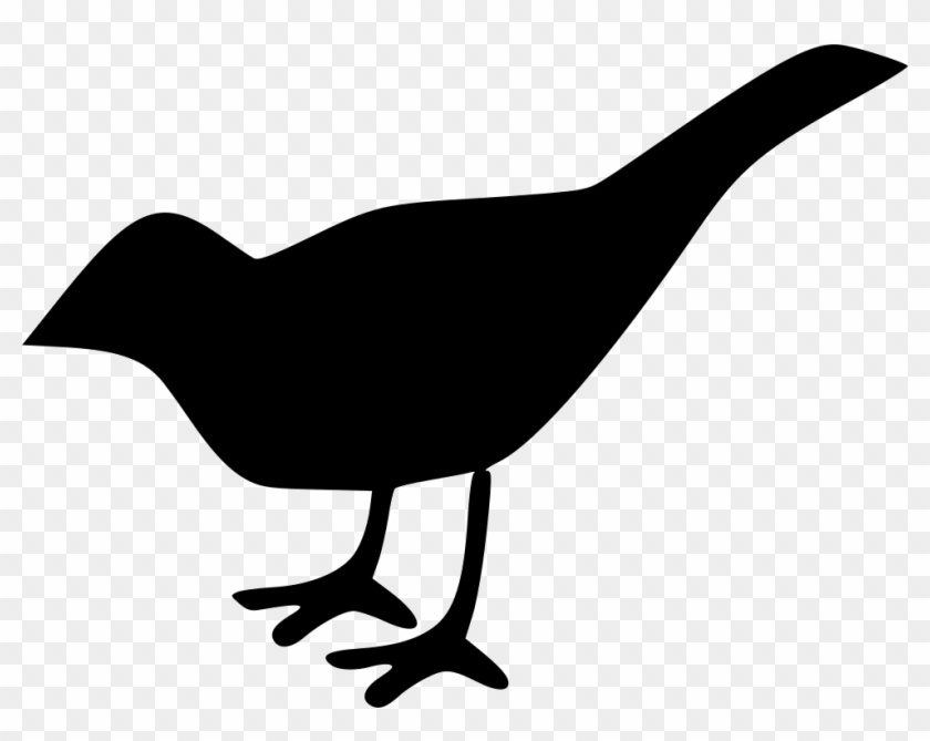 Detail Bird Png Vector Nomer 43