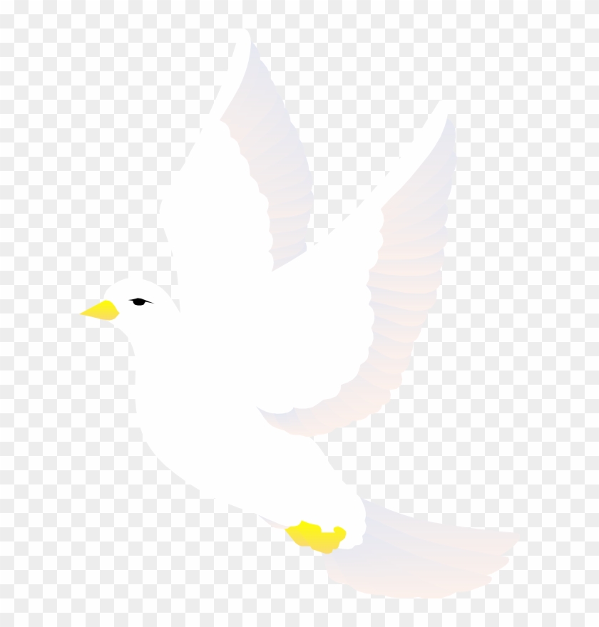 Detail Bird Png Vector Nomer 46
