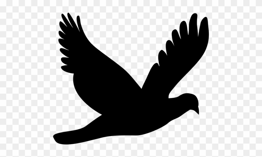 Detail Bird Png Vector Nomer 49