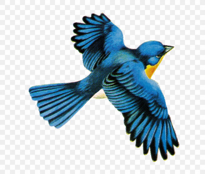 Detail Bird Png Vector Nomer 55