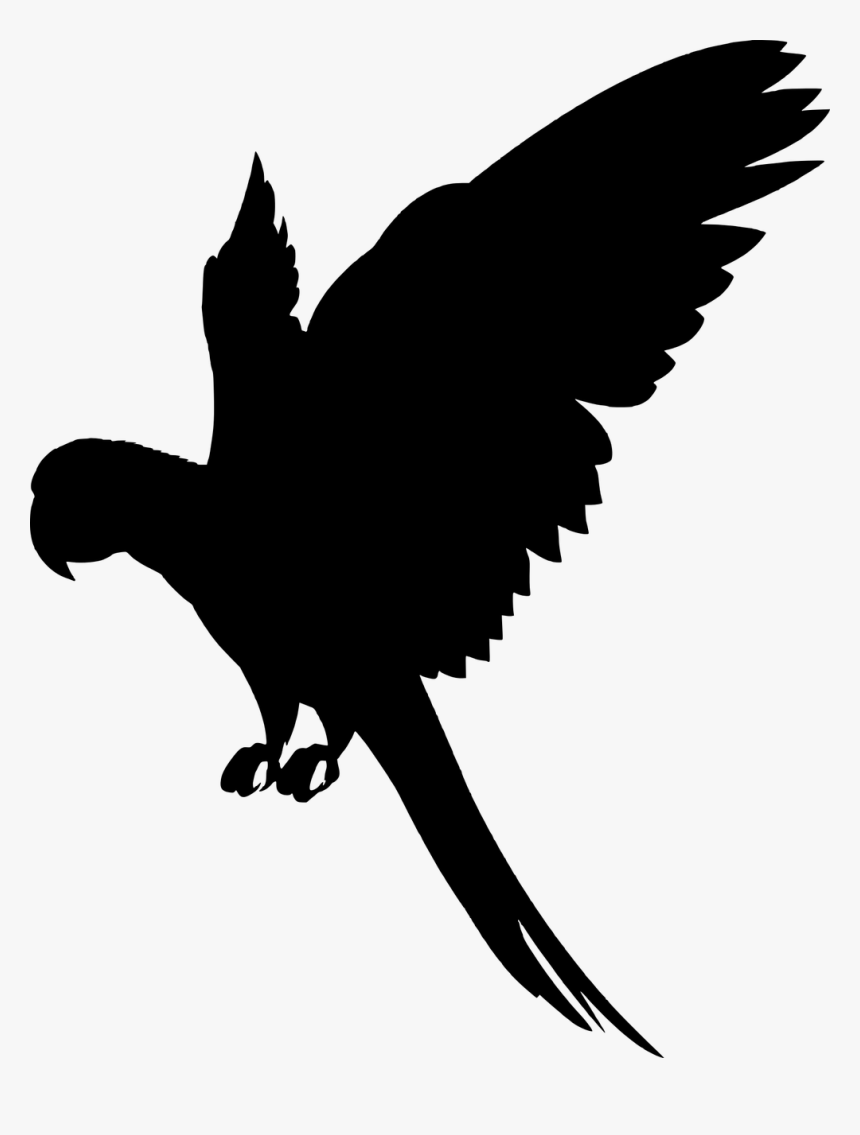 Detail Bird Png Vector Nomer 10