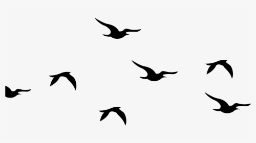 Bird Silhouette Png - KibrisPDR