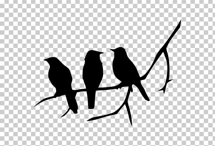 Detail Bird Silhouette Png Nomer 33