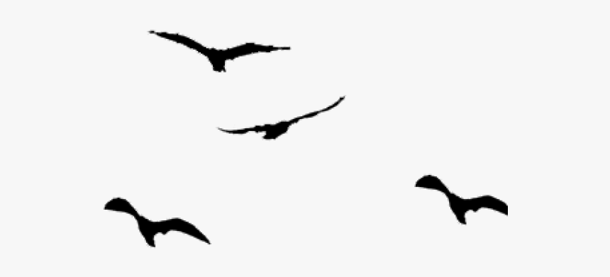 Detail Bird Silhouette Transparent Background Nomer 3