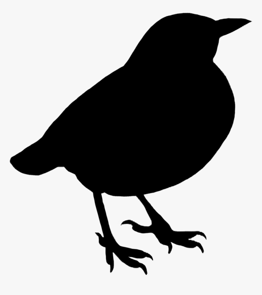 Detail Bird Silhouette Transparent Background Nomer 28