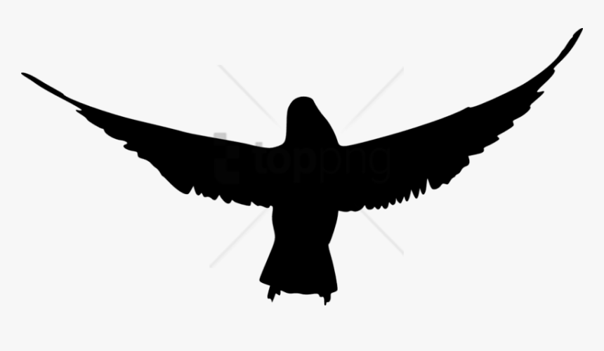 Detail Bird Silhouette Transparent Background Nomer 29