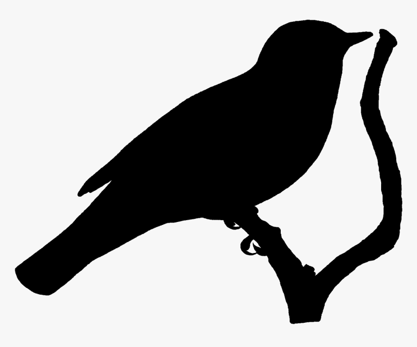 Detail Bird Silhouette Transparent Background Nomer 46