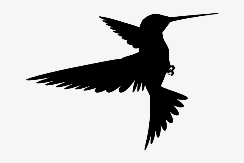 Detail Bird Silhouette Transparent Background Nomer 47