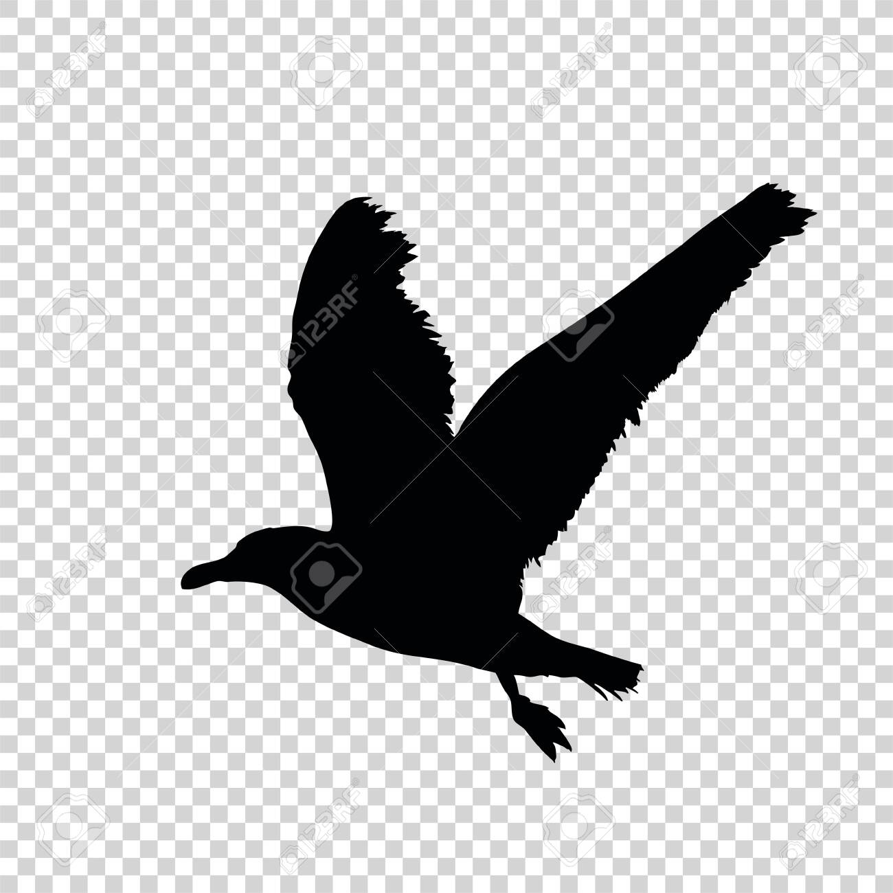 Detail Bird Silhouette Transparent Background Nomer 51