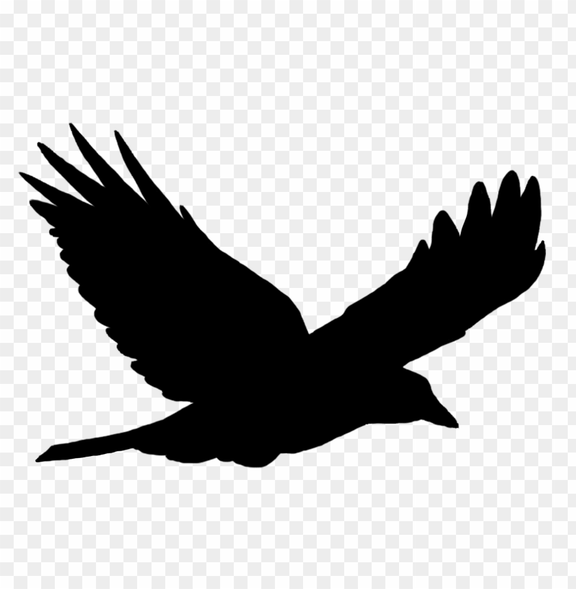 Detail Bird Silhouette Transparent Background Nomer 8