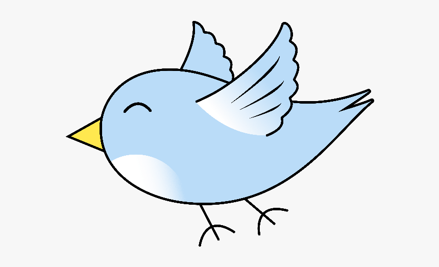 Detail Bird Transparent Nomer 50
