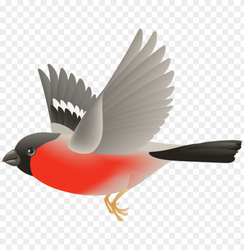 Detail Bird Transparent Background Nomer 12