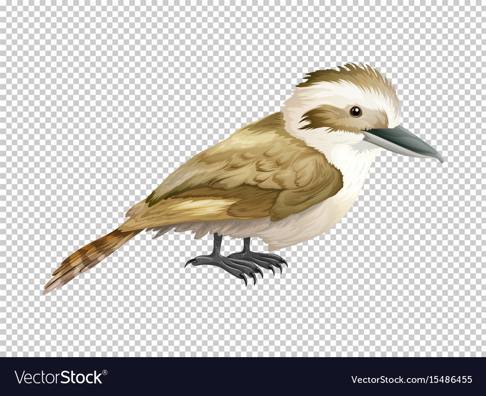 Detail Bird Transparent Background Nomer 23