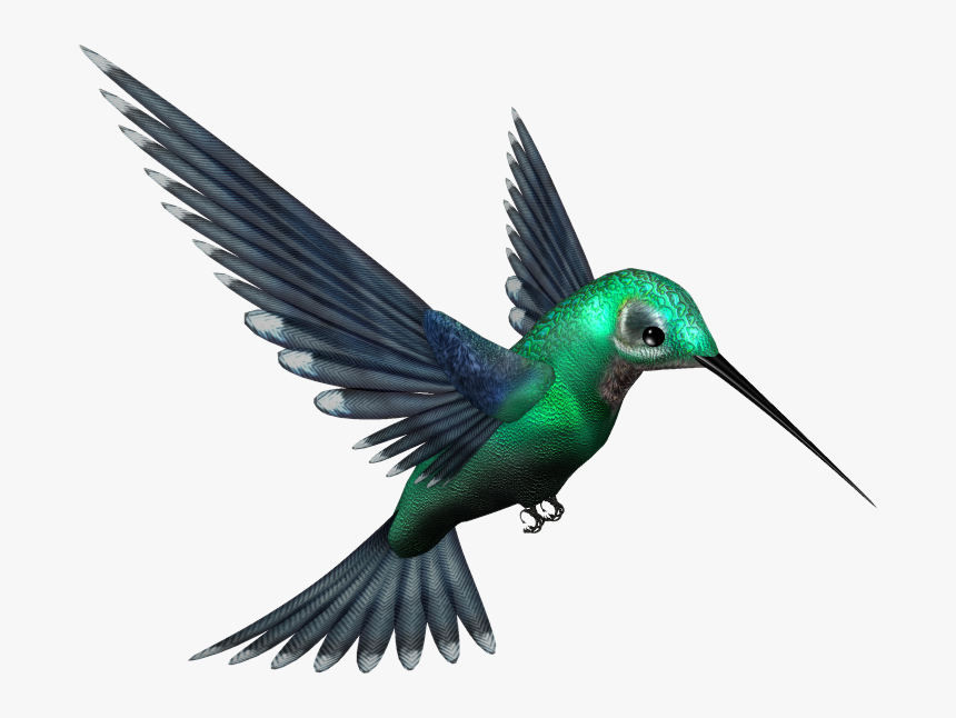 Detail Bird Transparent Background Nomer 3