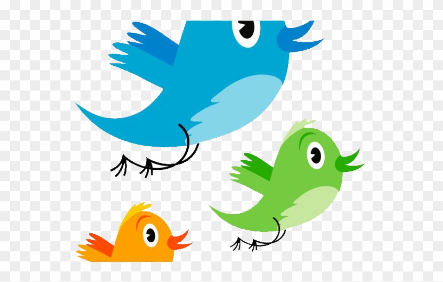 Detail Bird Transparent Background Nomer 37