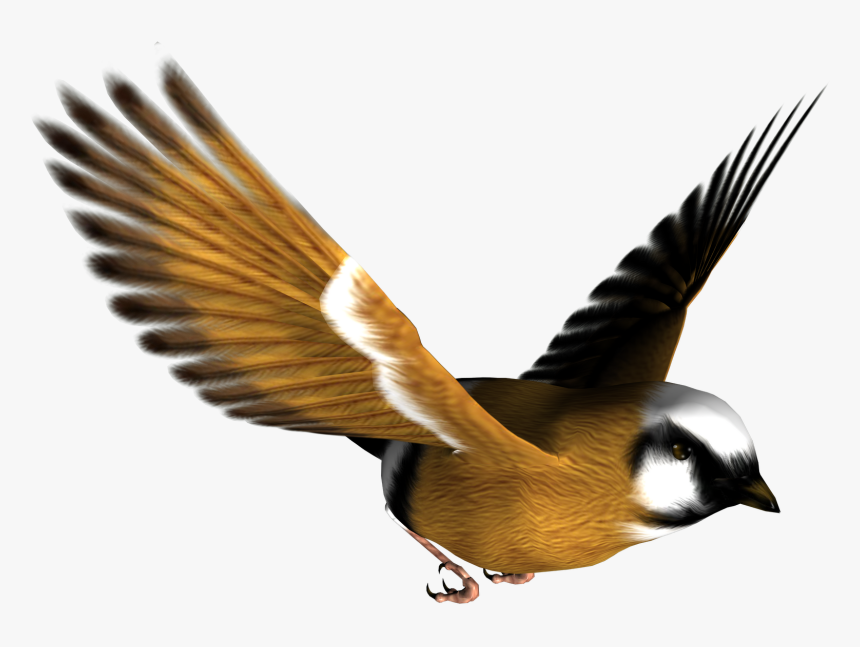 Detail Bird Transparent Background Nomer 46
