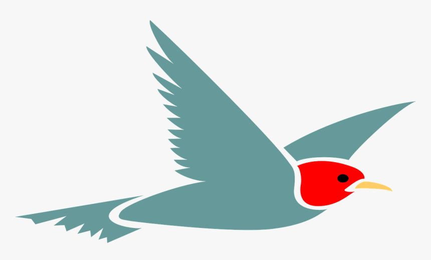 Detail Bird Transparent Background Nomer 48