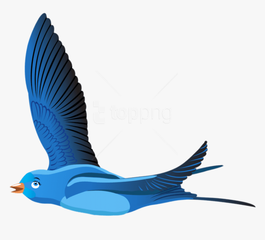 Detail Bird Transparent Background Nomer 52