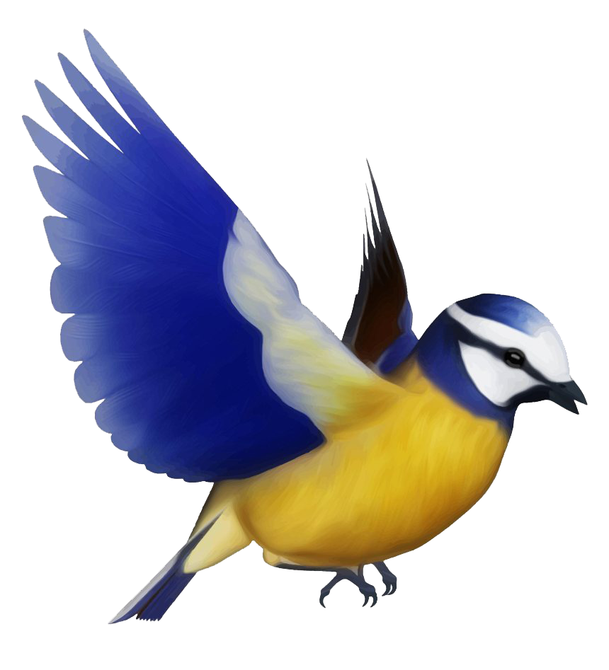 Detail Bird Transparent Png Nomer 5