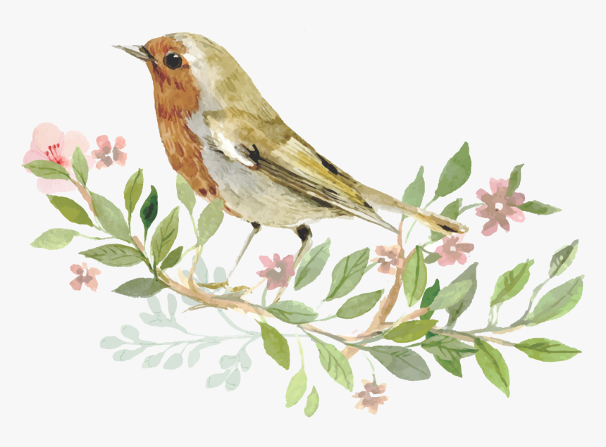 Detail Bird Transparent Png Nomer 48