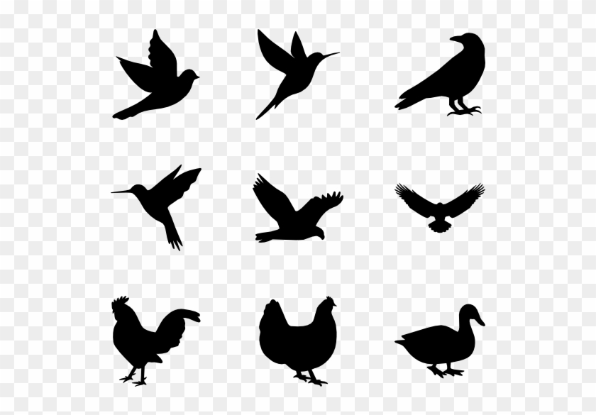 Detail Bird Vector Png Nomer 15