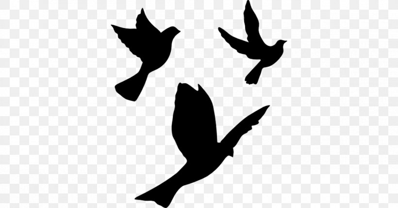 Detail Bird Vector Png Nomer 25