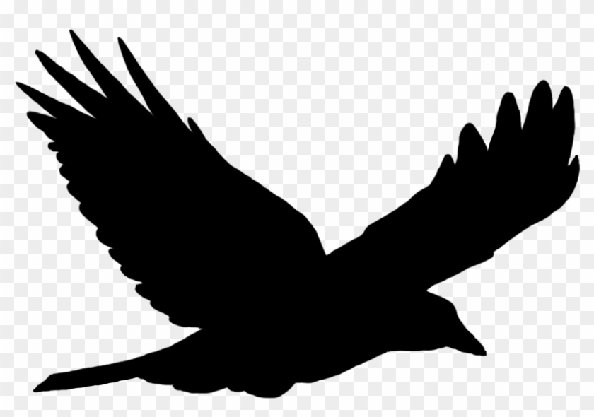 Detail Bird Vector Png Nomer 26