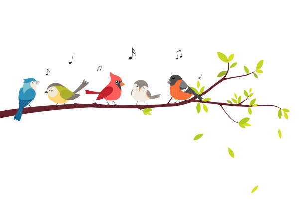Detail Bird Vector Png Nomer 27
