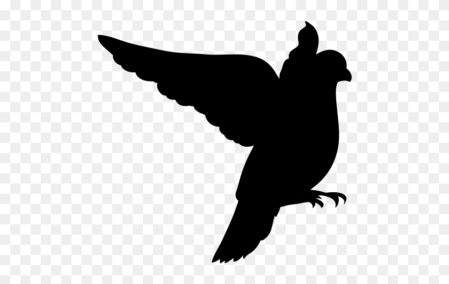 Detail Bird Vector Png Nomer 28