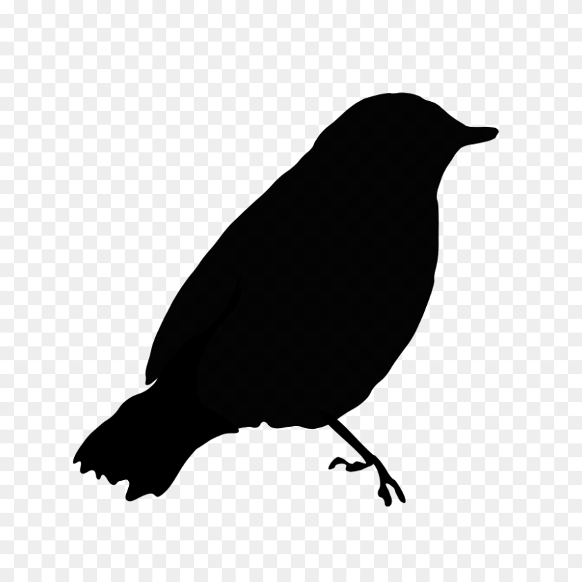 Detail Bird Vector Png Nomer 31