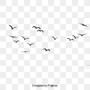 Detail Bird Vector Png Nomer 6