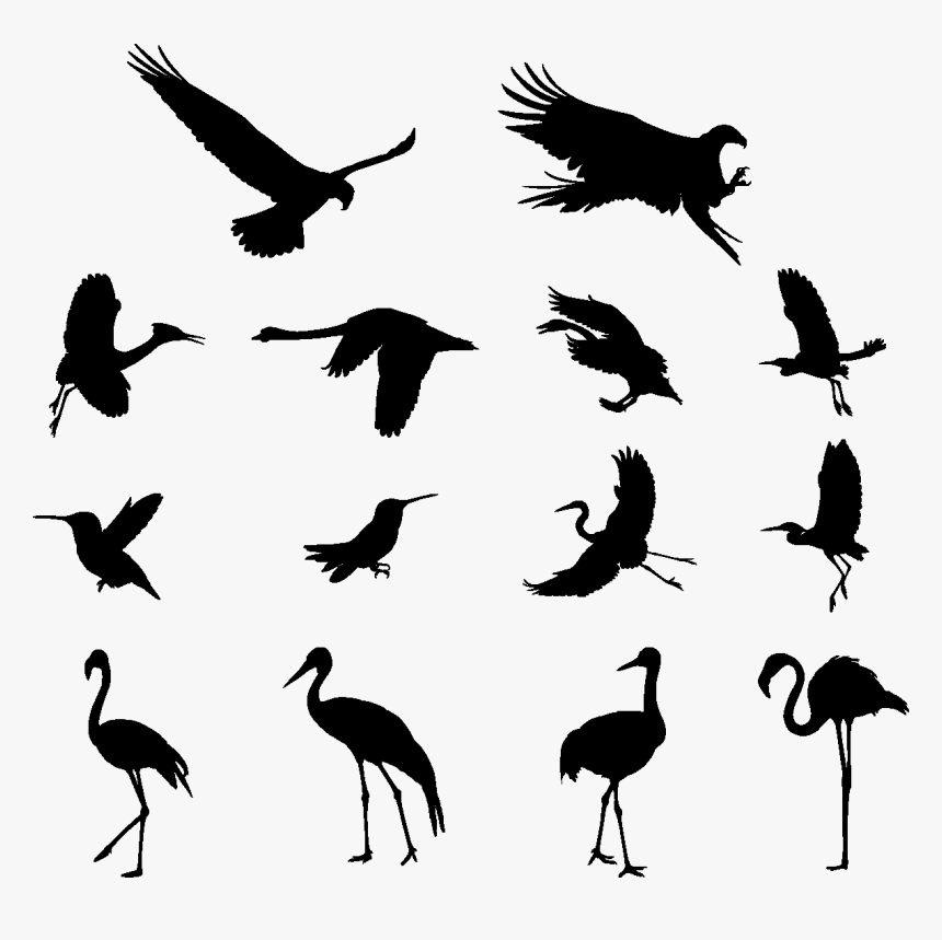 Detail Bird Vector Png Nomer 52