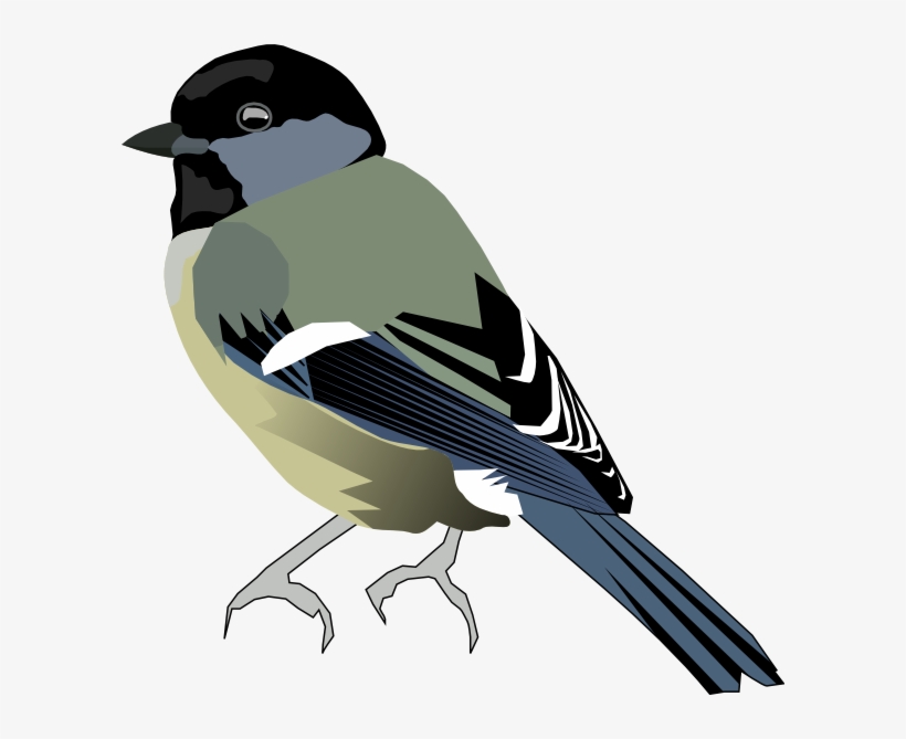 Detail Bird Vector Png Nomer 55