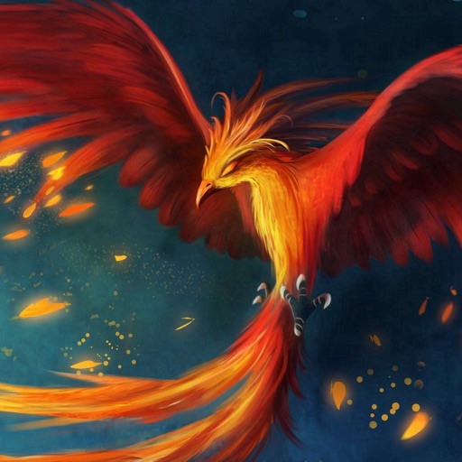 Detail Bird Wallpaper Hd Nomer 58