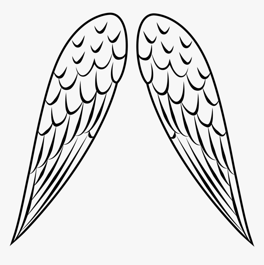 Detail Bird Wing Outline Nomer 16