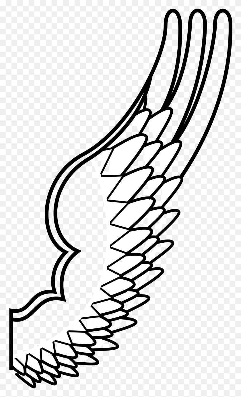 Detail Bird Wing Outline Nomer 18