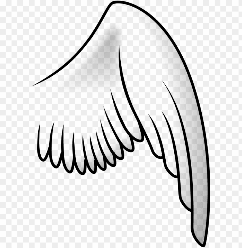 Detail Bird Wing Png Nomer 37