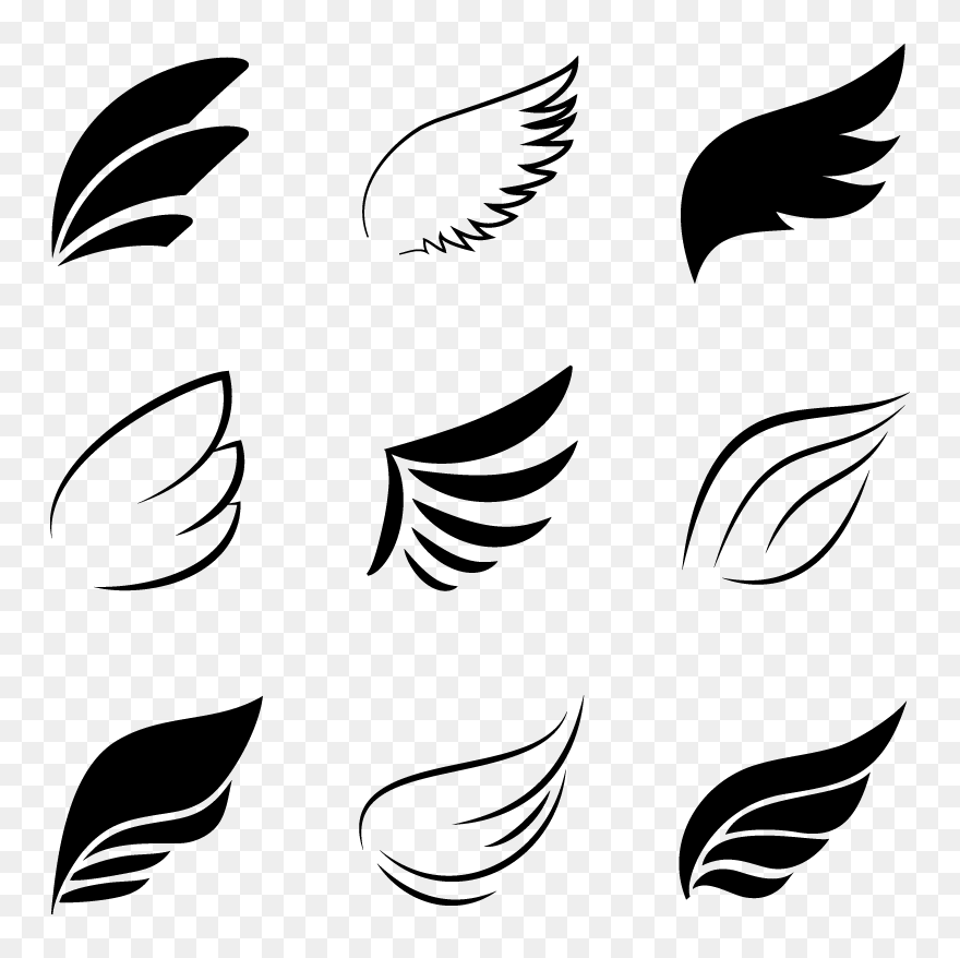 Detail Bird Wing Png Nomer 43