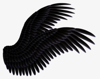 Detail Bird Wing Png Nomer 9