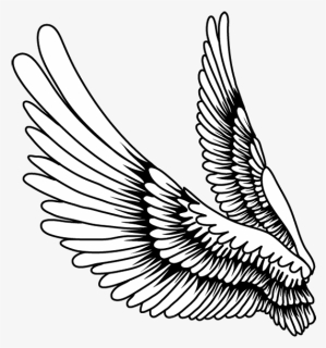 Detail Bird Wings Clipart Nomer 26