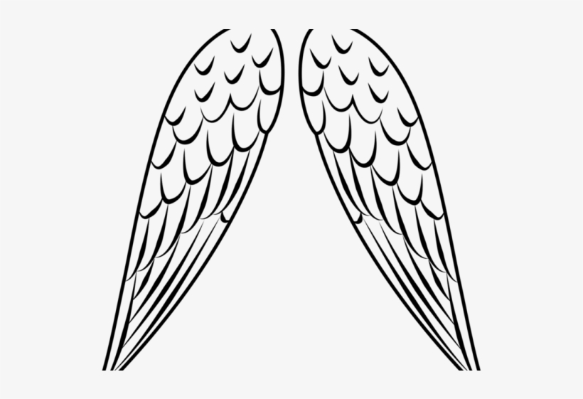 Detail Bird Wings Clipart Nomer 4