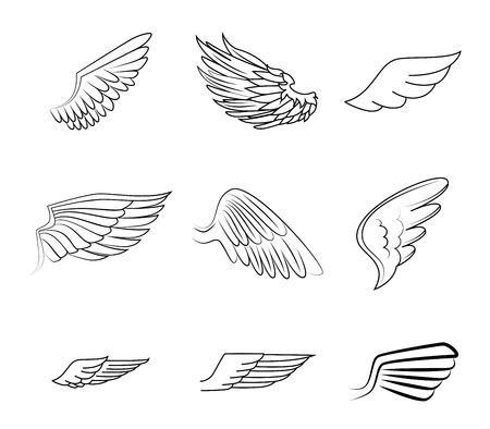 Detail Bird Wings Clipart Nomer 41