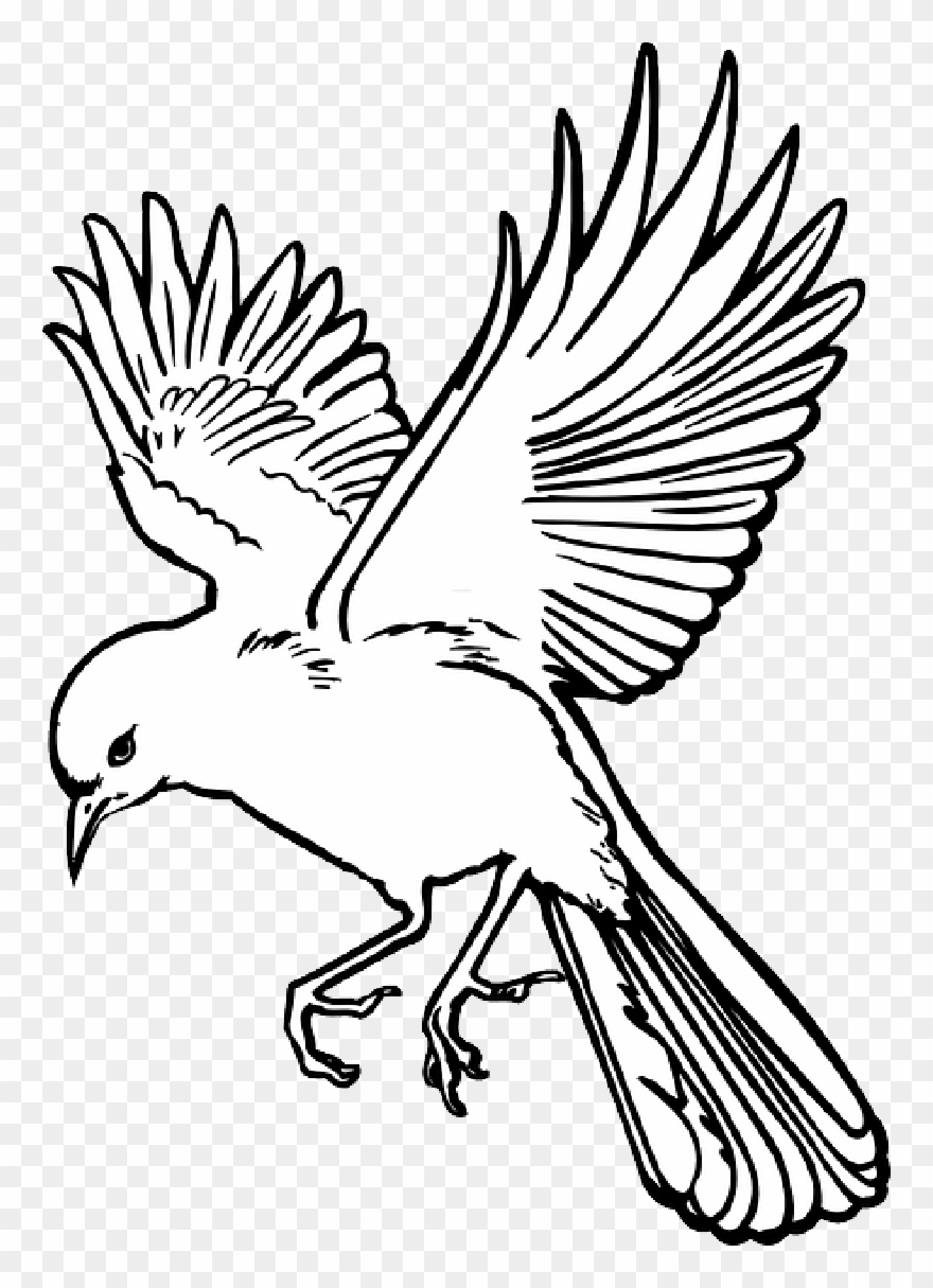 Detail Bird Wings Clipart Nomer 44
