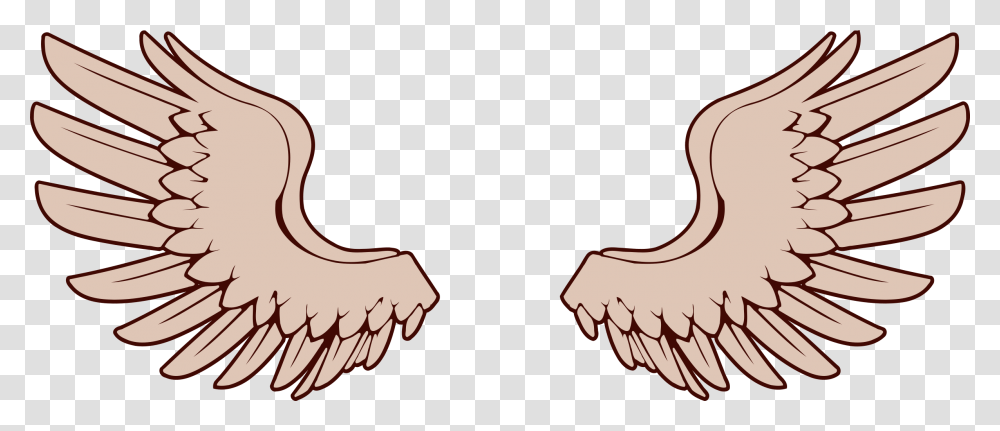 Detail Bird Wings Clipart Nomer 9