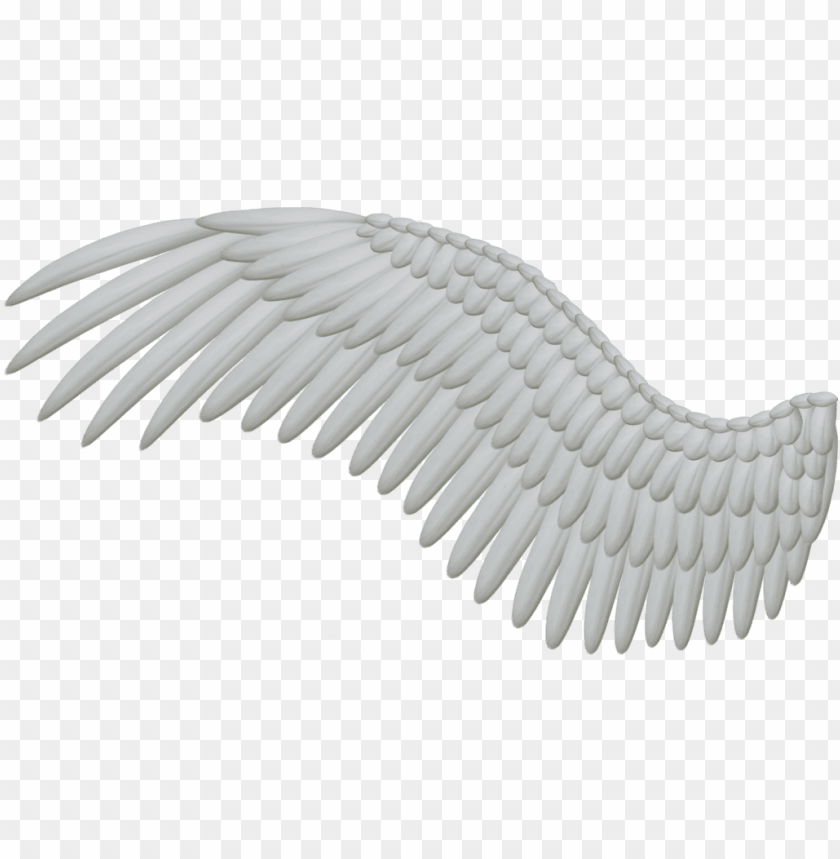 Bird Wings Png - KibrisPDR