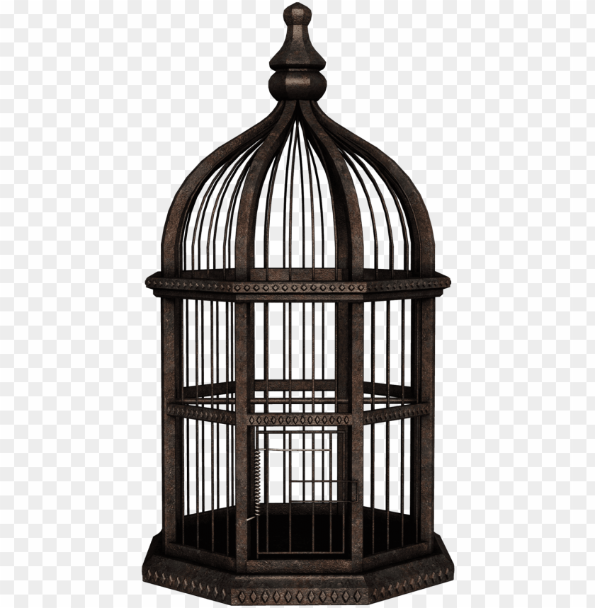 Detail Birdcage Png Nomer 13