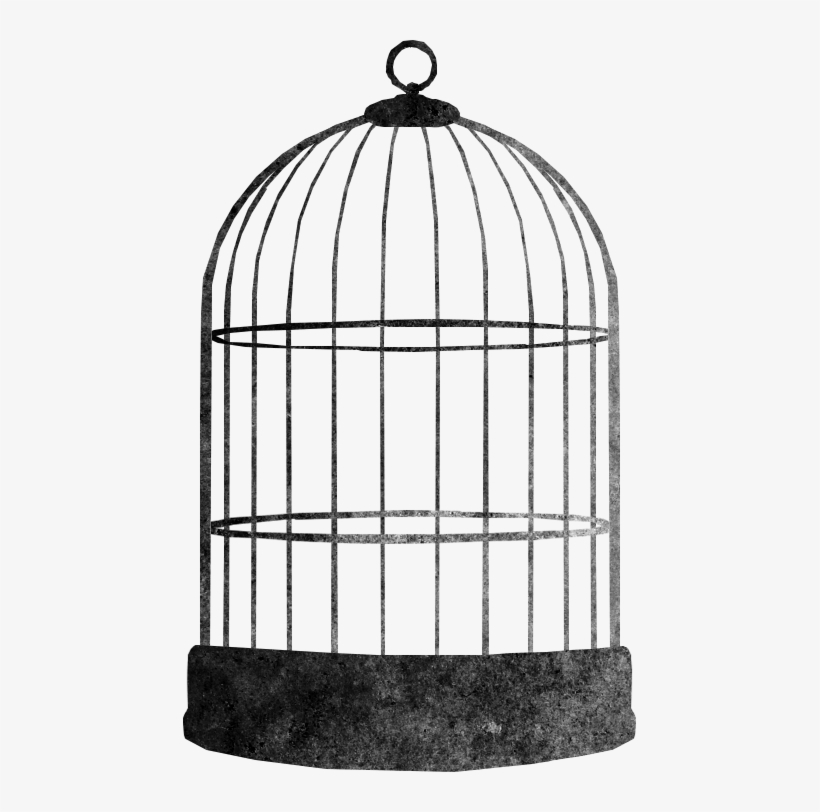 Detail Birdcage Png Nomer 3