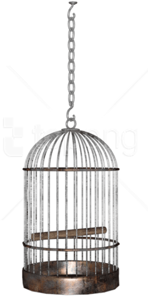 Detail Birdcage Png Nomer 23