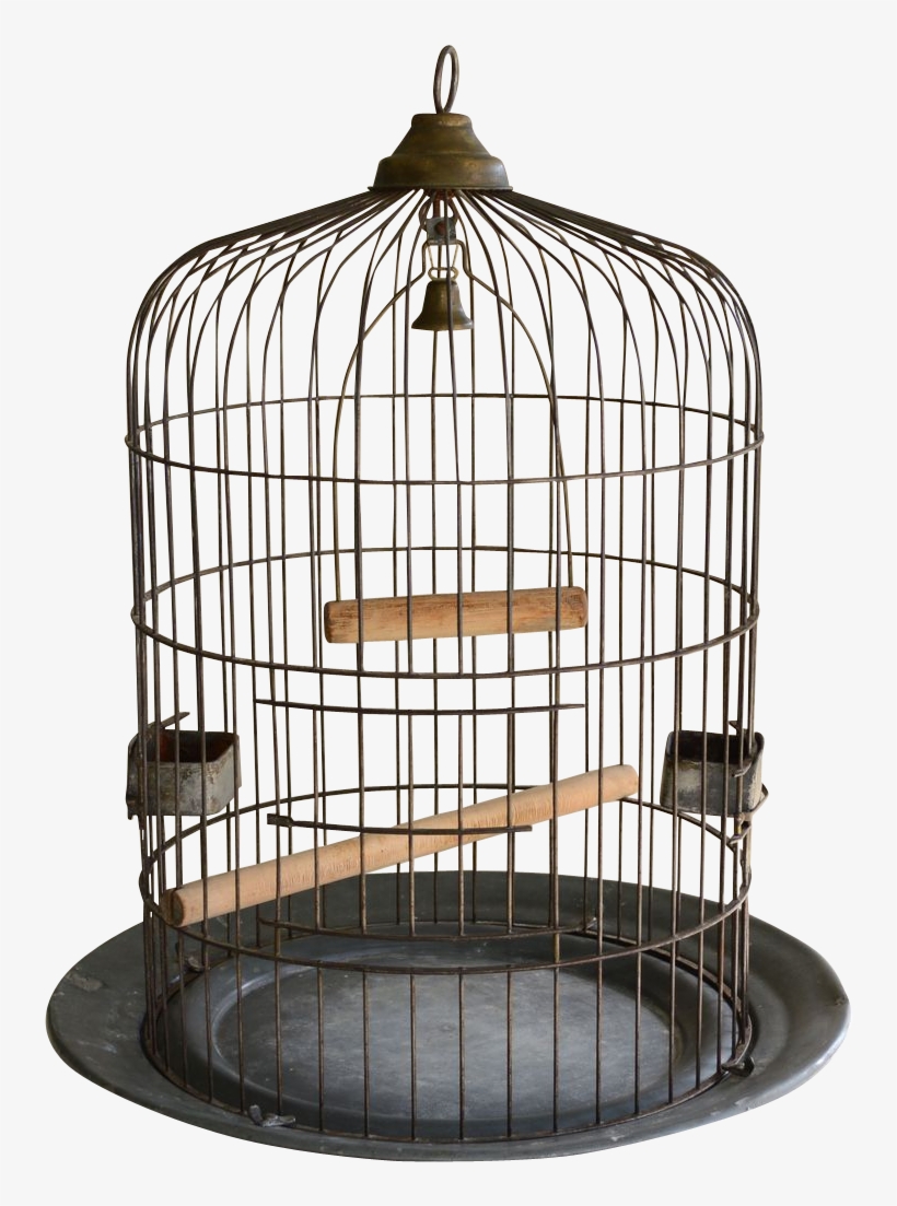 Detail Birdcage Png Nomer 24