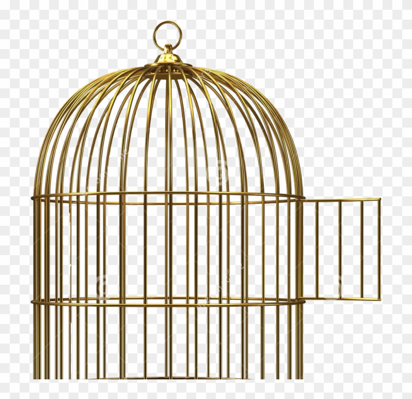 Detail Birdcage Png Nomer 28